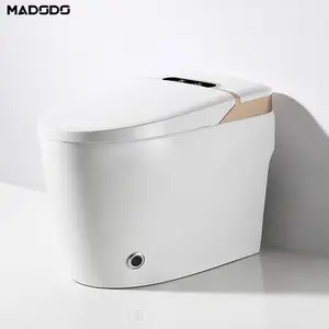 Cleaning Function Wc Smart Toilet Sanitary Ware Closet Smart Wc Bowl Toilet Set