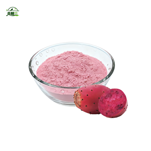 Extrait <span class=keywords><strong>de</strong></span> figue <span class=keywords><strong>de</strong></span> barbarie naturel pur <span class=keywords><strong>de</strong></span> haute qualité <span class=keywords><strong>Cactus</strong></span> poudre <span class=keywords><strong>de</strong></span> <span class=keywords><strong>jus</strong></span> <span class=keywords><strong>de</strong></span> fruits <span class=keywords><strong>de</strong></span> figue <span class=keywords><strong>de</strong></span> barbarie poudre <span class=keywords><strong>de</strong></span> <span class=keywords><strong>Cactus</strong></span> - Product Image 5