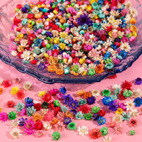 Kleurrijke mini Braziliaanse kleine gedroogde bloemen voor scrapbooking, kaartjes maken en fotolijstdecoratie.