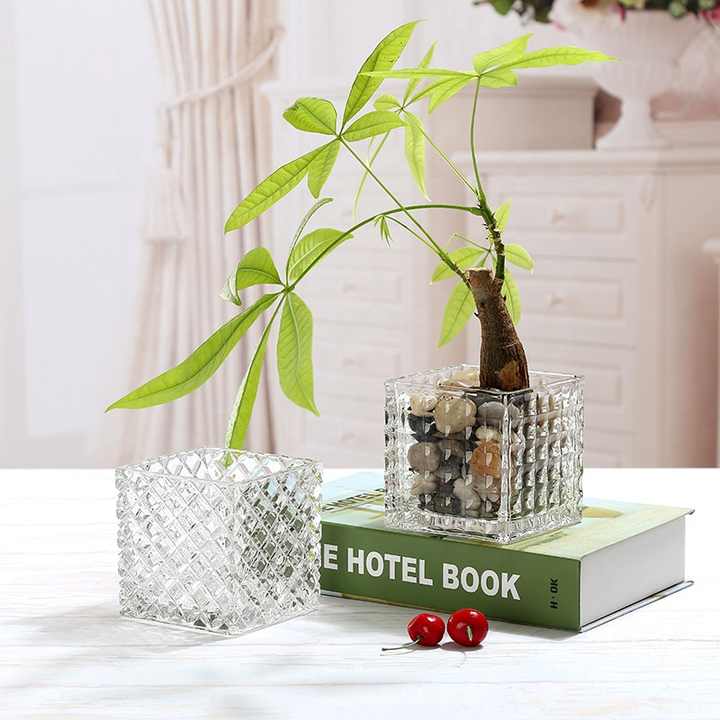 2022 Manufacturers Wholesale Thickened Square Glass Vase Decoration Transparent Vase Household Decoration Soft Decoration