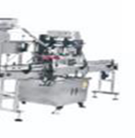 Macchina Automatica per Linea di Riempimento di Liquidi, Paste e Creme SINOPED - Product Image 4