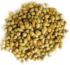 توابل ZZH المورد بالجملة بذور الكزبرة الهندي الكزبرة عالية الجودة بذور الكزبرة - Product Image 2