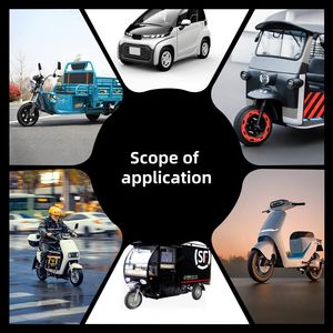 Paket Baterai Lithium Iron Phosphate 48V 60V 72V 50Ah 100Ah 200Ah 400Ah BMS LiFePO4 - Product Image 4