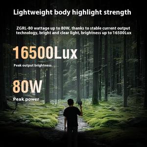 Lampe de photographie ZGRL-80 COB, éclairage portable à main pour extérieur, éclairage mobile réglable pour photographie - Product Image 2