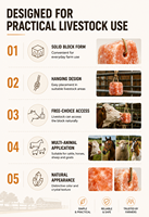 Blocs de sel minéral durable et durable en chlorure de sodium de qualité alimentaire pour animaux de ferme, vaches et moutons, à lécher