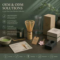 Fouet à matcha en résine de qualité alimentaire, manche ergonomique en forme de citrouille, poignée antidérapante, double usage pour la maison et les voyages