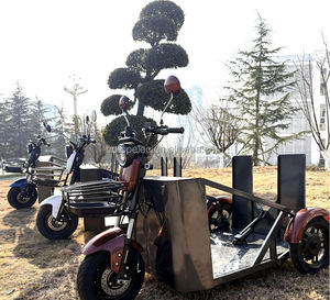 <span class=keywords><strong>Tricycle</strong></span> électrique longue portée pour adultes handicapés, scooter de mobilité à moteur puissant, <span class=keywords><strong>tout</strong></span>-<span class=keywords><strong>terrain</strong></span> pour une utilisation en intérieur et en extérieur - Product Image 4