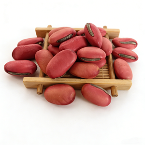 <span class=keywords><strong>Haricots</strong></span> rouges secs mélangés 1 kg - Product Image 2