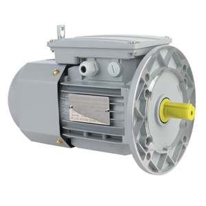 Moteur asynchrone triphasé série YEJ, horizontal, haute fiabilité, étanche, à réponse de freinage rapide - Product Image 3
