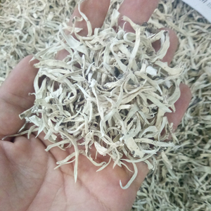 Teh Lichen cacing putih putih kering organik cacing putih cacing putih ulat putih Tundra tumbuh buah-buahan Lichen untuk dijual