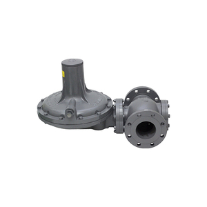 Régulateur de gaz à ressort de capacité Amco Fiorentini - Product Image 4