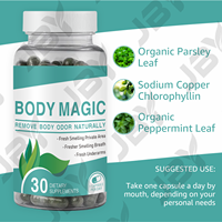 JBY OEM Marque Privée Capsules de Chlorophylle Magique à Base de Feuilles de Persil Biologique pour la Détoxification, la Digestion et la Santé Intestinale