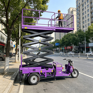 Tricycle élévateur direct usine 4m 6m 8m 10m 12m 14m 16m 300kg 500kg pour la réparation de routes rurales, approvisionnement B2B - Product Image 1