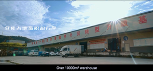 Chất Lượng Tốt Động Cơ Gắn Cao Su Ống Lót 2916050r001 Tự Động Phụ Kiện Phía Sau Ổn Định Thanh Gắn Ống Lót <span class=keywords><strong>Assy</strong></span> - Product Image 6