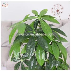 Oem/ODM tre cây nhân tạo với nhựa cỏ và chậu mọng nước trang trí hoa cúc hoa thực sự đồ trang trí vườn - Product Image 4