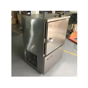 Fábrica de temperatura ultrabaja-45 grados Celsius gabinete de mantenimiento fresco congelado