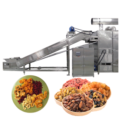 Albicocche essiccate Papaya Banana Making Machines linea di lavorazione della frutta dal lavaggio fino all'asciugatura