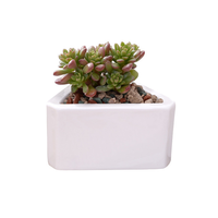 Pot de fleurs et vase de table triangulaires en céramique multicolores ZHUODI modernes et économiques pour la Journée de la Terre