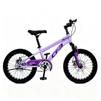 Vélo pour enfants de 16, 18, 20 et 22 pouces en acier haute teneur en carbone, disponible en rose, violet, bleu, gris et noir, pour garçons et filles