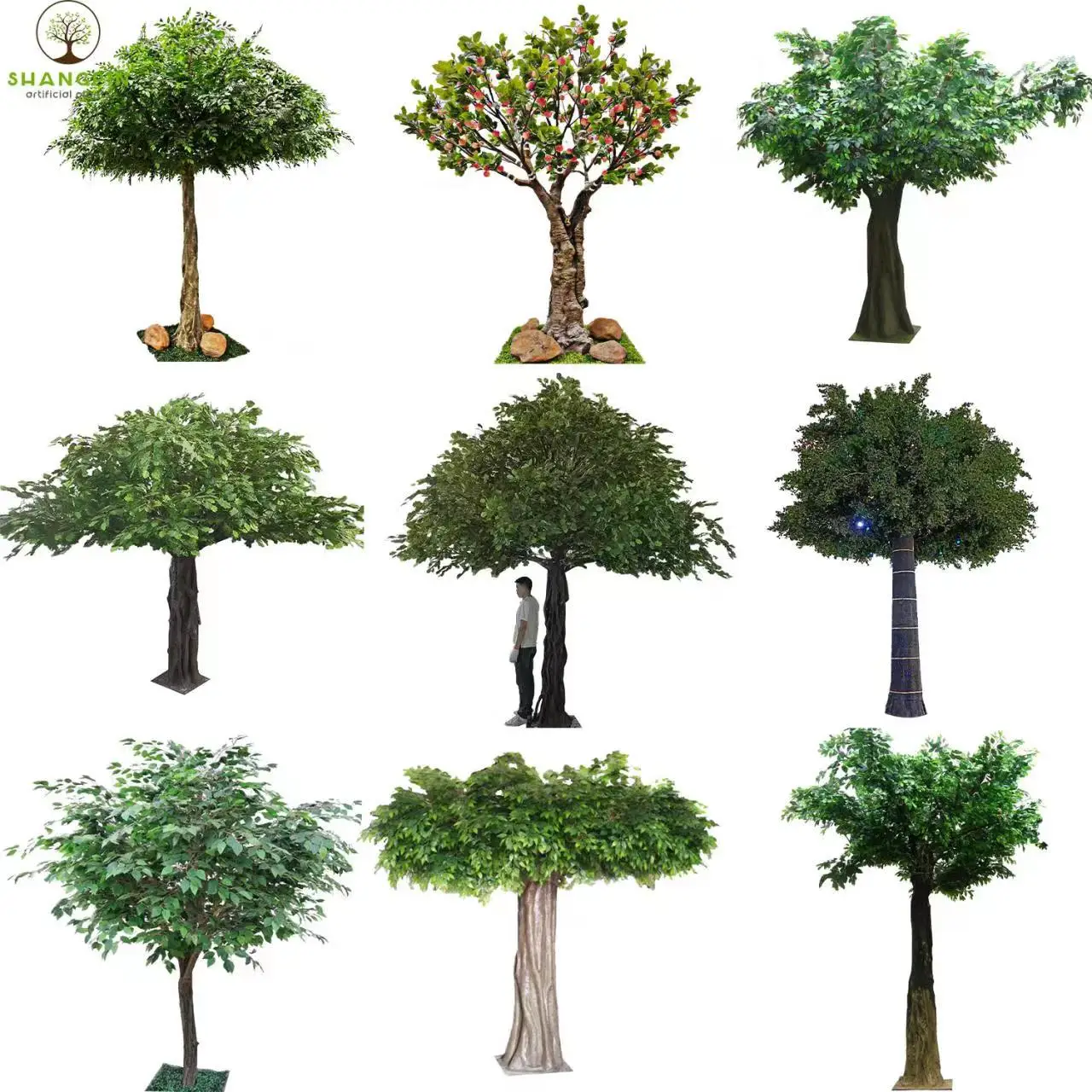 Personalizzare tutti i tipi di ulivi