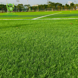 Césped Artificial para Campos <span class=keywords><strong>de</strong></span> Fútbol, Césped Sintético para Estadios y Escuelas, Césped Monofilamento Duradero - Product Image 1