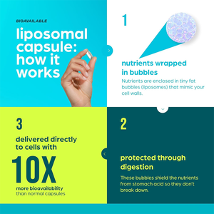 Capsule di Integratore Liposomiale NAD+ Vegano con Resveratrolo e Urolitina-A per Supporto Anti-Invecchiamento e <span class=keywords><strong>Salute</strong></span> del DNA, Etichetta Privata OEM - Product Image 4