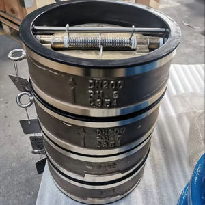 Valvola di Non Ritorno a Doppio Disco in Bronzo Alluminio C954 con Corpo e Disco Rivestiti in Gomma EPDM, Diametro DN40-DN600 - Product Image 1