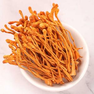 <span class=keywords><strong>Cordyceps</strong></span> militar de cultivação orgânica de alta qualidade, seca todo o tibetano militar cru <span class=keywords><strong>cordyceps</strong></span> militar - Product Image 1