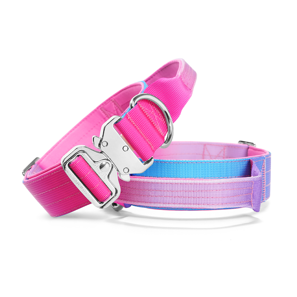 Dégradé rose bleu clair violet