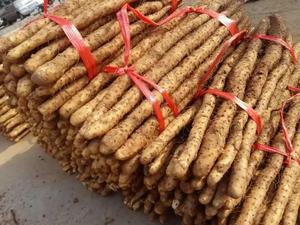 Ingreronier 98% <span class=keywords><strong>diosgenin</strong></span>/Dioscin บริสุทธิ์ผง <span class=keywords><strong>diosgenin</strong></span> สารสกัดจากมันเทศป่า - Product Image 3