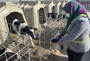 DEMA DMCH-220 Dayanıklı Galvaniz Çelik ve Polietilen H Tipi Dış Mekan Buzağı Kulübesi/Barınağı Yetiştirme Kafesi Kullanımı Kolay Yeni - Product Image 4