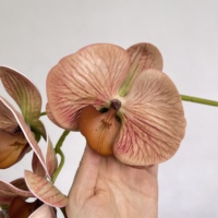 Fournisseur en gros HGA – Arrangement de fleurs artificielles en panier, fausses orchidées Phalaenopsis pour la décoration de centres commerciaux