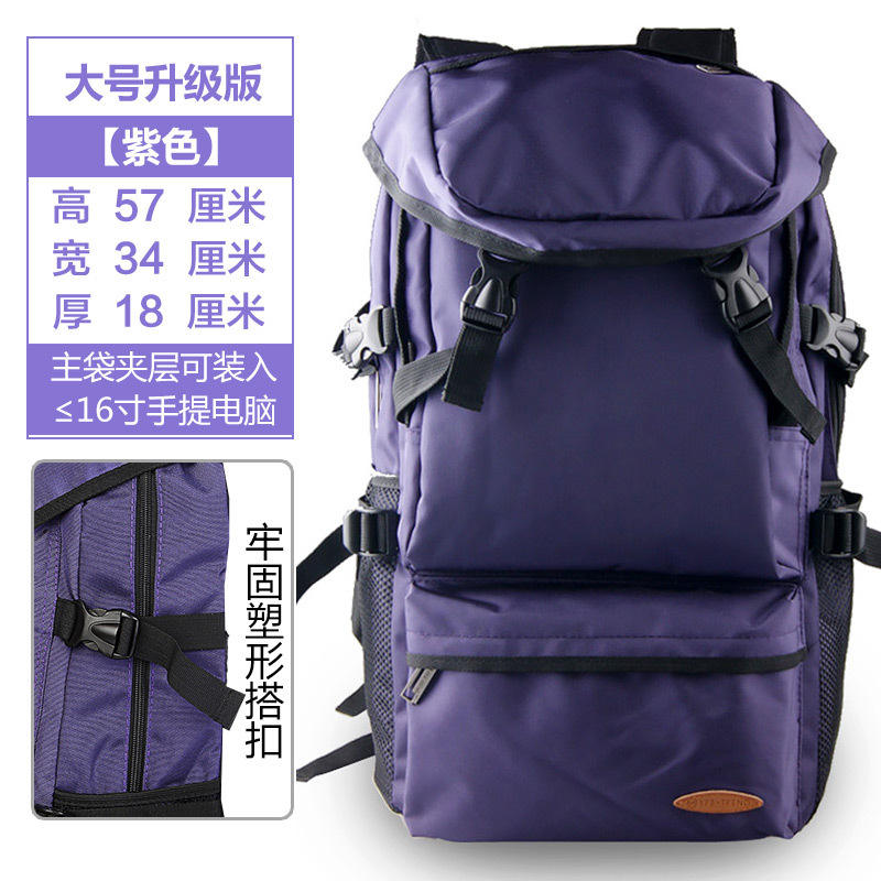 สีม่วง ขนาดใหญ่ - 16 นิ้ว