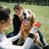 FDFIT Jouet d'exercice et d'entraînement du poignet Dos en caoutchouc coloré et amusant avec des cordes comme cadeau pour la balle de poignet rebondissante de la famille