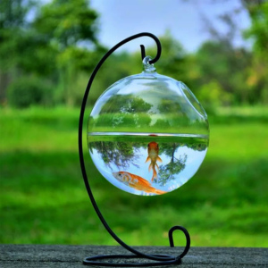 투명 유리 어항 수족관 및 액세서리 장식 조명 - Product Image 2