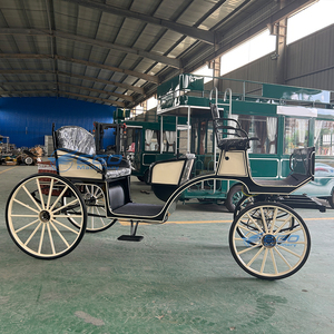 Carruaje de Caballos de Lujo Moderno, Vehículo Eléctrico Real, Nuevo Estilo, Carro de Boda, Carro de Turismo, Carruaje de Caballos en Venta - Product Image 3