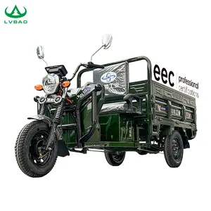 LB-LB160G2 60V 2 Power Trike Open Body 3 Wheel Bike 1200W 1000W Pedicab Adult Cargo Electric Tricycles