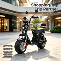 Trottinette électrique puissante 2000W à pneus larges, batterie LFP 60V, autonomie 60km, double amortissement, vente en gros