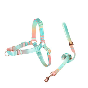 สายรัดอกสุนัขแบบปรับได้ ป้องกันการดึง พร้อมสายรัดไนลอนทนทาน - Product Image 3