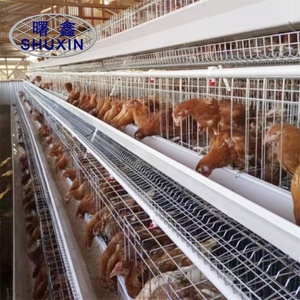 Cage à poules pondeuses pour élevage avicole, batterie de 120 cages à poulets pour l'élevage de poulets - Product Image 6