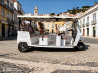 Tricycle électrique certifié CEE pour passagers avec auvent, idéal pour le transport touristique et en station balnéaire