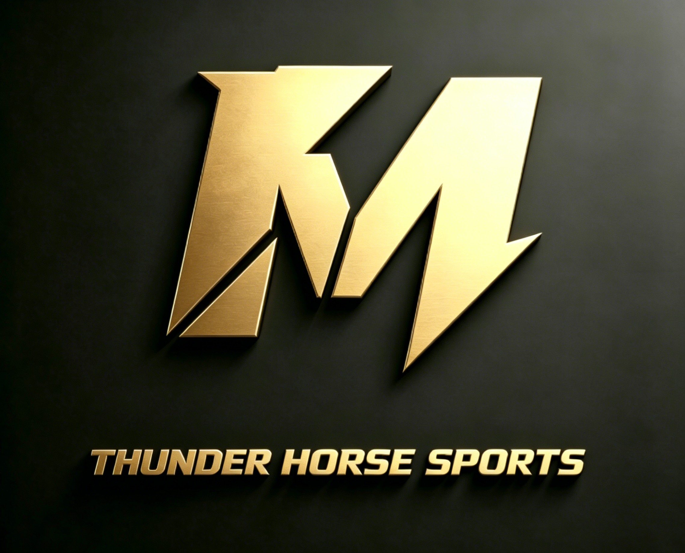 Shenzhen Tingma Sports Equipment Co., Ltd. logo