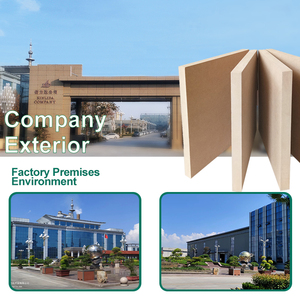 <span class=keywords><strong>MDF</strong></span> chống ẩm giá cả phải chăng-Được chứng nhận sinh thái, nhiều kích cỡ có sẵn cho tủ & cải tạo nhà - Product Image 6