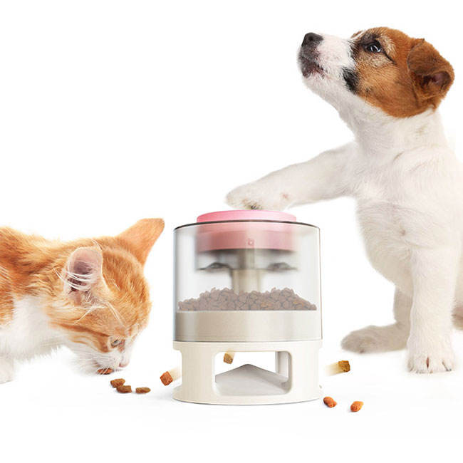 White with Pink Button