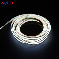 Tira de Luz LED COB sin Puntos, 640 LED, CCT Dual Blanco Ajustable/Control Remoto Wi-Fi, IP20, DC24V, 3000K-6500K, Ra90, para Paisajismo, PC