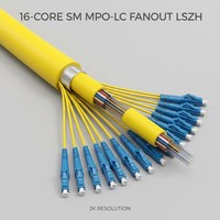 Câble de brassage fibre optique 16 cœurs OS2 SM MPO vers LC Fan-Out LSZH 2x8 8xLC, haute vitesse 100G, 50cm