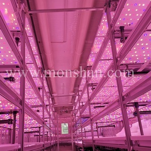 Tự Động Thủy Canh Trồng Rau Trang Trại Trong Container Vận Chuyển - Product Image 3