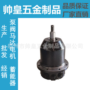Motor de pistón hidráulico A10FE11 con instalación de brida y accionamiento de eje de nivel cuantitativo - Product Image 2