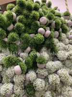 V-3062 4 pièces de mini plantes artificielles en pot, petites plantes succulentes artificielles pour la décoration de bureau