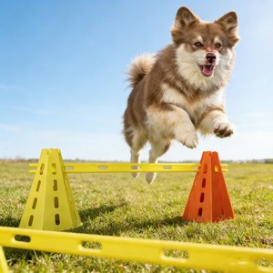 ชุดอุปกรณ์ฝึกสุนัขแบบ Agility ประกอบด้วยกรวย แท่งกั้น แท่งปรับระดับได้ สำหรับฝึกความคล่องตัว อุปกรณ์สำหรับสัตว์เลี้ยง - Product Image 4